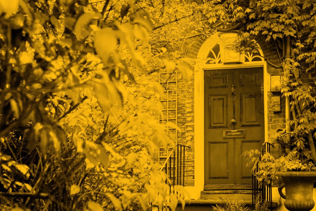 Front door of house, framed by greenery in front garden