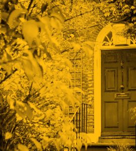 Front door of house, framed by greenery in front garden