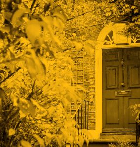 Front door of house, framed by greenery in front garden