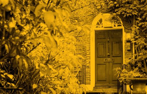 Front door of house, framed by greenery in front garden