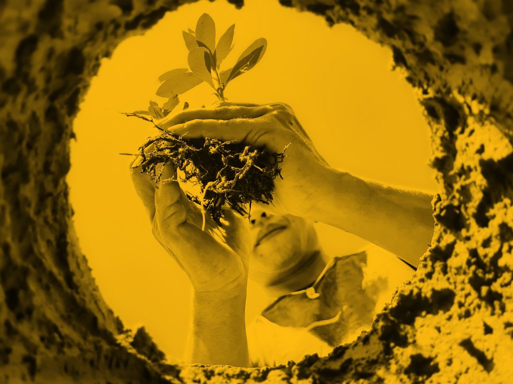 Upwards photo of woman planting a seedling in hole in earth