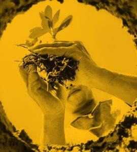 Upwards photo of woman planting a seedling in hole in earth