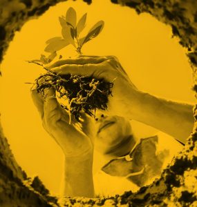 Upwards photo of woman planting a seedling in hole in earth