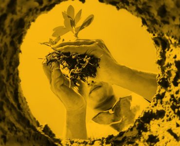 Upwards photo of woman planting a seedling in hole in earth