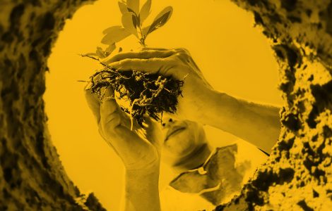 Upwards photo of woman planting a seedling in hole in earth
